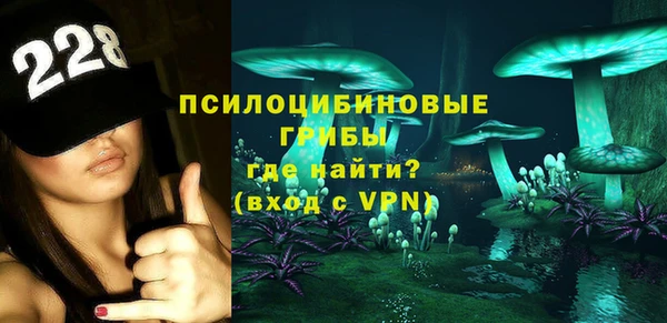 молекула духа Алзамай