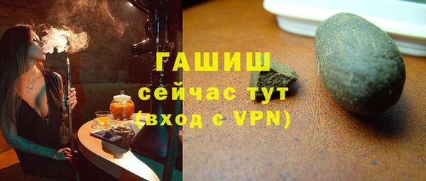 СК Алексин