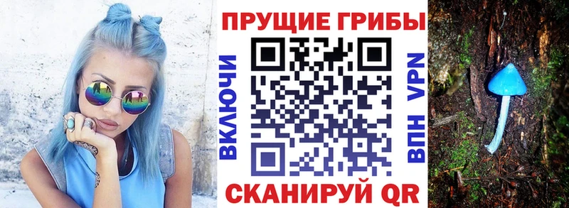 mega как зайти  Морозовск  Псилоцибиновые грибы MAGIC MUSHROOMS 
